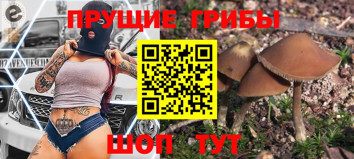 Галлюциногенные грибы мицелий Кимры