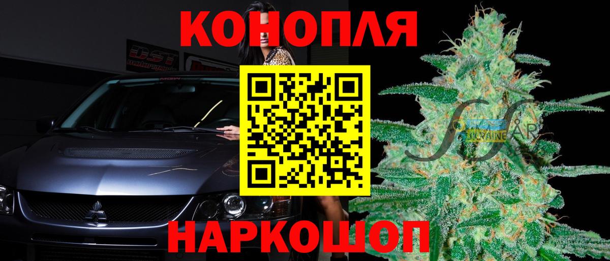 Бошки Шишки OG Kush Кимры